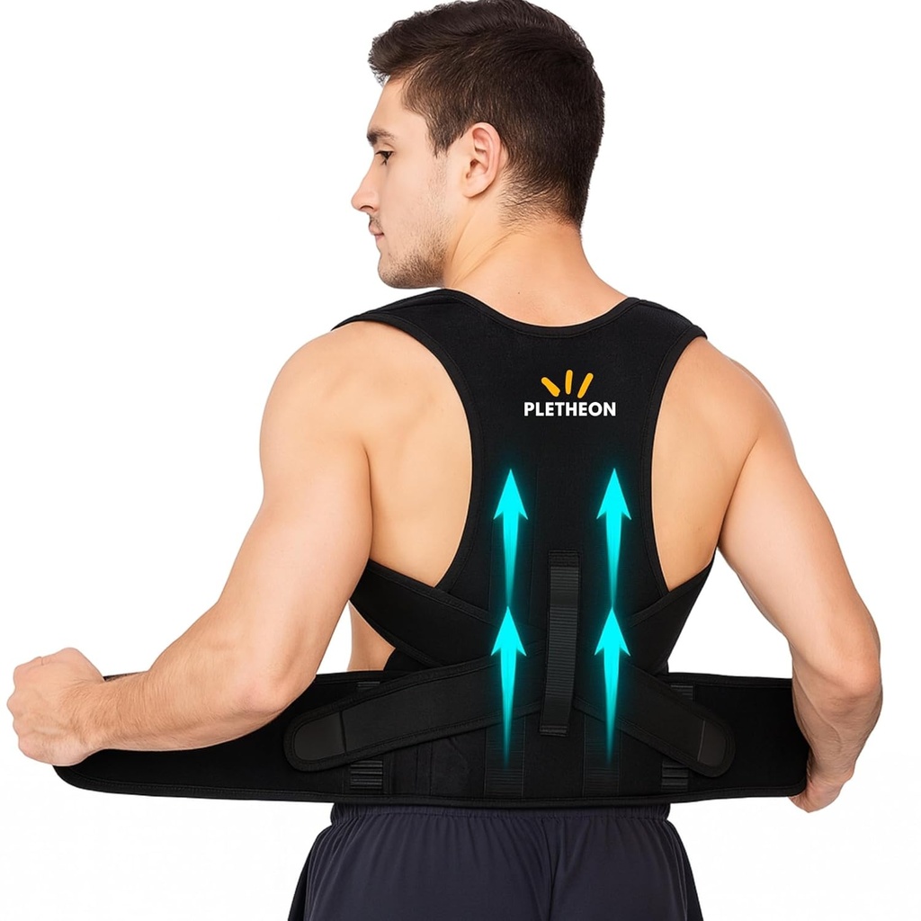 Back Support Belt