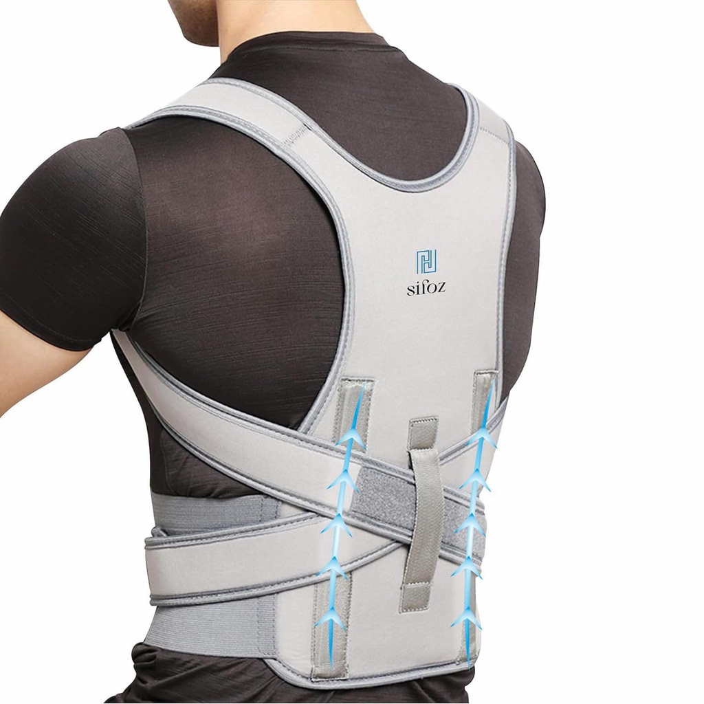 Back Support Belt